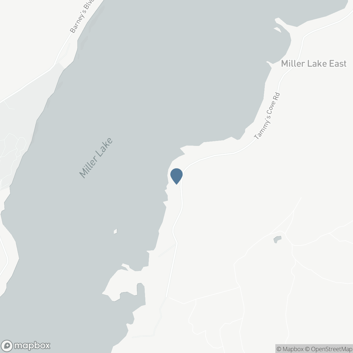 294 TAMMY'S COVE ROAD, Lion's Head, Ontario N0H 1W0